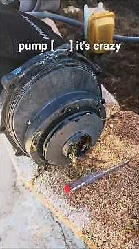 DIY POOL PUMP DISASSEMBLE AND CLEAN