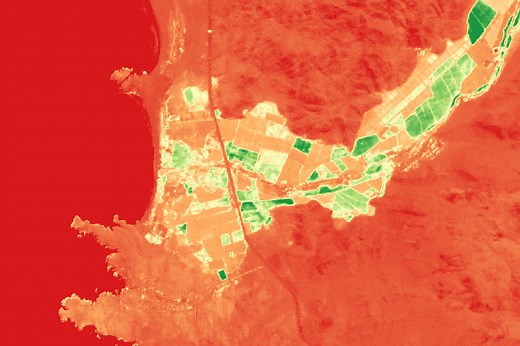 How to calculate the NDVI Index from a Sentinel 2 Image — Hatari Labs