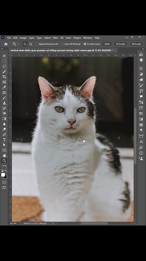 Mustafa - LearnCreative on TikTok
