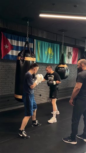 Inspiring Boxer Stories That Unite Cultures