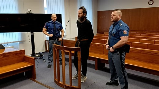 Větví ubil kamaráda a pak tvrdil, že je blázen. Soud mu potvrdil 11,5 roku - Novinky