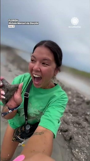I Found a Giant Shark Tooth at the Beach!