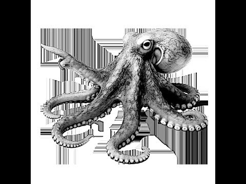 How to Find Articles (Without Crying) Using Research Rabbit