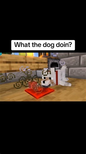 Hate when the dog just becomes mr. olympia. #minecraft #memes