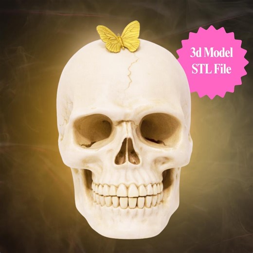 Butterfly Skull STL File | Gothic 3D Printable Sculpture (digital Download) - Etsy