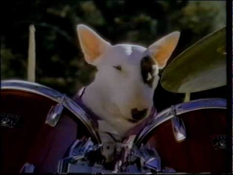 Spuds MacKenzie - Bud Light Commercial - 1987