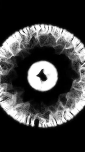 O bewafa..... #alfaaz #hindisong #sadlyrics