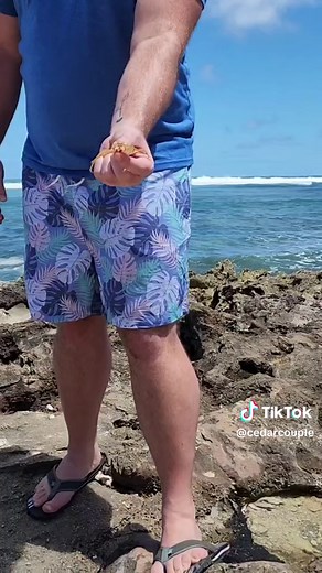 Brady's Beach Day Chaos in Hawaii