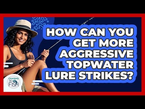 How Can You Get More Aggressive Topwater Lure Strikes? - Chasing Big Fish