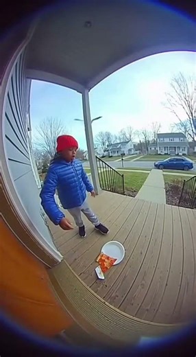 Seagull Steals Kid's Pizza in Seconds