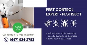 Contact Pestisect Pest Control 24/7 | Fast, Reliable & Trusted Pest Experts