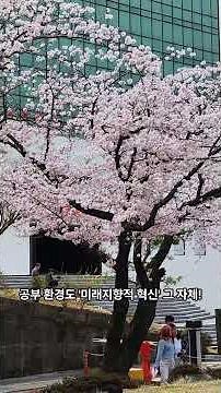 🎓✨ 영산대학교, ‘2025 INUE 전국대학평가’ 부산 사립대 1위! ✨🎓