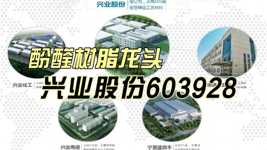 兴业股份603928是一家怎样的公司？
