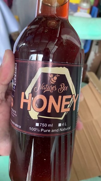 Exploring Honeybee Habitats and Their Importance