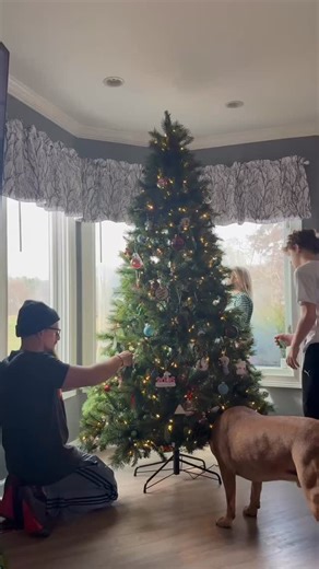 17 reactions | proudly presenting our new and improved tree this year! looking fancy! ♥️ | Megan Lynn Joyce | Facebook