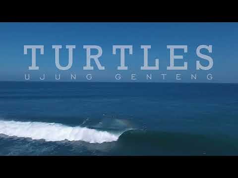 Turtles Point Surfing | West Java