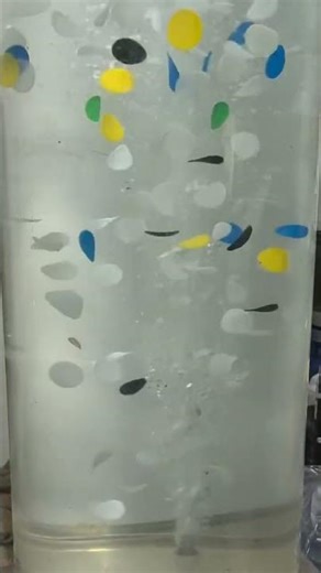 Cutting-Edge BIOCHIP Testing for MBBR Efficiency