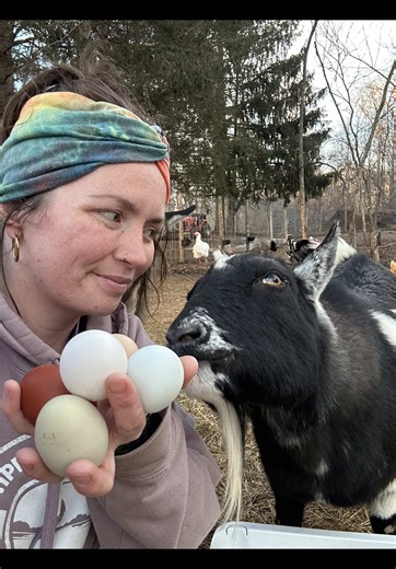 Egg Collecting Adventures: March 7th & 8th Highlights