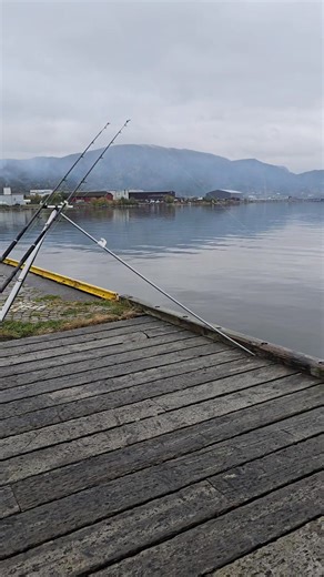 Beautiful Norway 🇳🇴 . #theshorehunter #seafishing #fishing #codling #halibut #fishingrods #norway #fish #norway #norwaytravel | The Shore Hunter