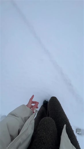 How to Make Afghan Snow Dessert Recipe