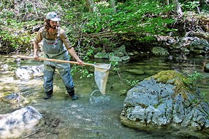 Field Science Fellowship - Natural Reserve System