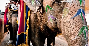 Building Expert Power - Mindtools