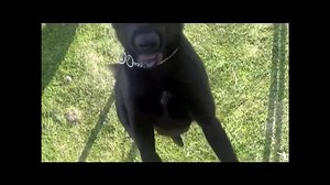 192K views · 6.3K reactions | TCSO Lip Sync Challenge #lipsynchallenge #andsoitbegins #firstinthecounty | Tulare County Sheriff's Office | Facebook