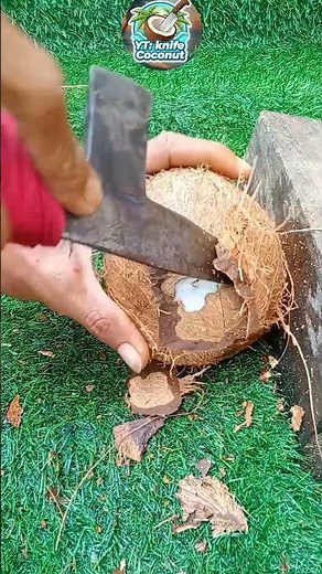 Brown coconut | how to open coconut