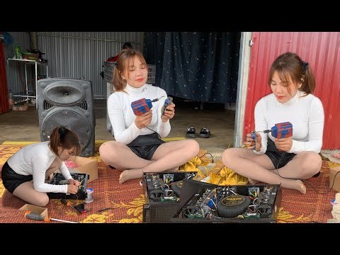 How to quickly repair speakers and sound systems at home