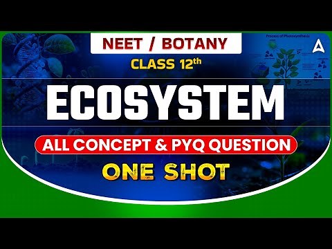 ECOSYSTEM CLASS 12 ONE SHOT | NEET 2024 | ALL CONCEPTS & TRICKS | DRONA SERIES | BOTANY BY SANKALP