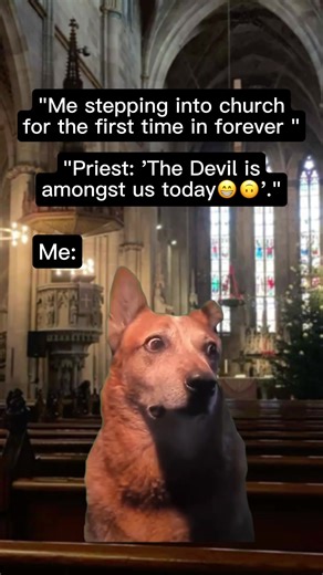 Humorous Meme Compilation to Brighten Your Day