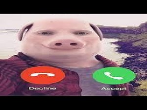 John Pork Is Calling 1 Hour 📞🐷