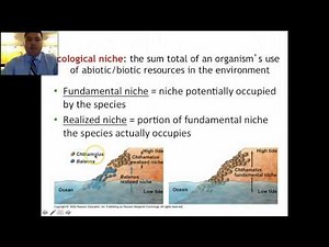AP Biology Review 1a/8: Ecology