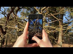 Samsung Galaxy A52 Ultimate Camera Test & Video quality (Ultrawide, main camera and 2x)