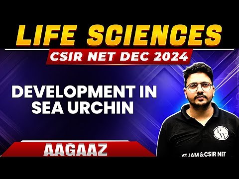 Development in Sea Urchin | Developments Biology | CSIR NET Dec 2024 | CSIR NET Life Sciences | PW