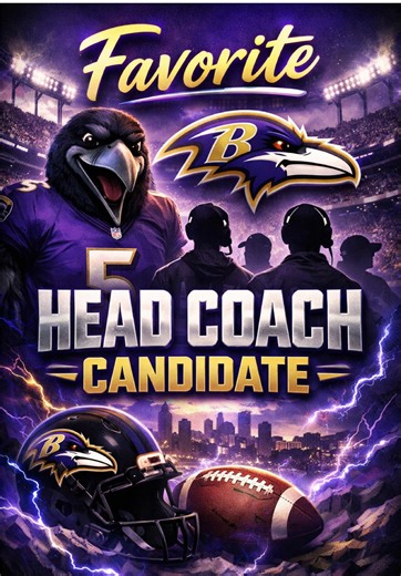 Baltimore Ravens Head Coach Candidates Overview