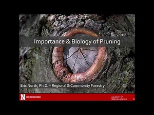 1. The importance and basic biology of pruning