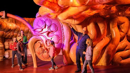 Corpus Museum in Holland bietet „Reise durch den Menschen“