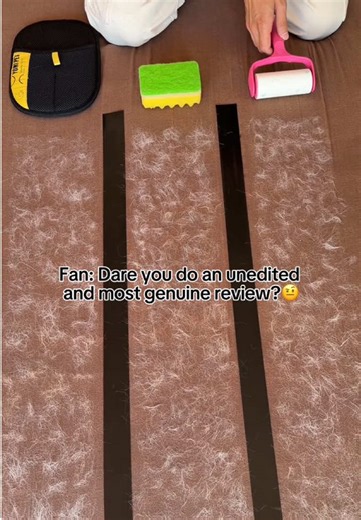 The Ultimate Review of Pet Hair Cleaning Tools