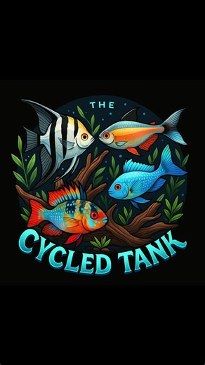Cycled Tank on TikTok