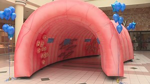 Using an inflatable colon to spread awareness about colorectal cancer