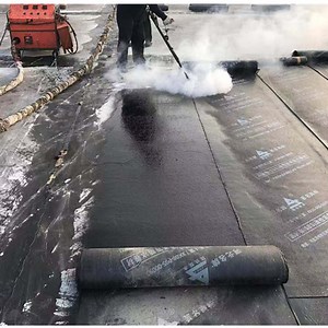 [Hot Item] Torched Sbs APP 3mm Modified Bituminous Asphalt Bitumen Waterproofing Roofing Membrane
