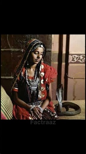 Woman Marries a Cobra