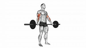 Barbell Standing Wide-Grip Biceps Curl exercise. Anatomy of fitness and bodybuilding. Target muscles are red. 3d