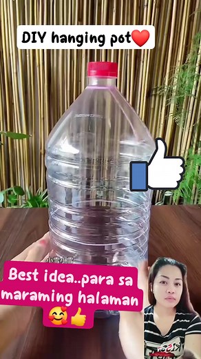 Amazing ideas hanging pot using plastic bottle🥰👍 #plasticbottle #Amazing #ideas #plants #highlights #fbreelsvideo | Cindy Manual Ballos
