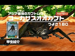 [甲虫王者ムシキング] コーカサスオオカブト - アジア最強のカブトムシ [甲虫紹介 アダー登場編]