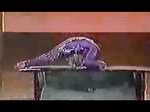 Contortionist Debra Daniels