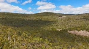The Wild Heart of Tasmania