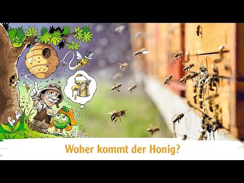 Woher kommt der Honig?