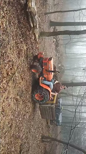 Kubota B8200 Pulling Logs!